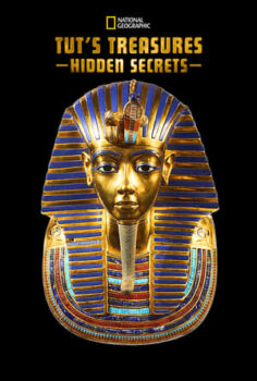 Tut’s Treasures: Hidden Secrets