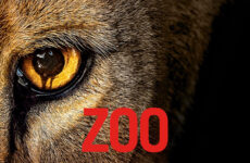 Zoo