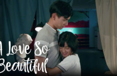 A Love So Beautiful