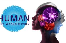 Human: The World Within
