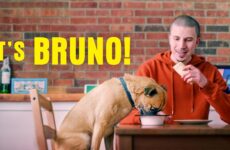 It’s Bruno!