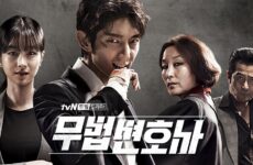 Lawless Lawyer