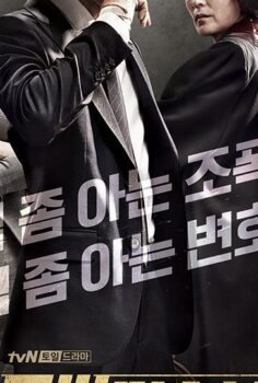 Lawless Lawyer