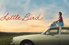 Little Bird