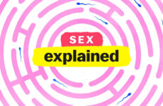Sex, Explained