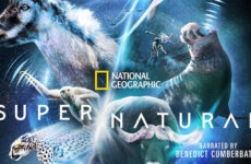 Super/Natural